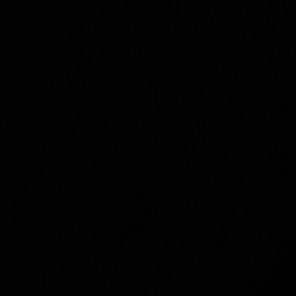 Meet your Posher, Dina